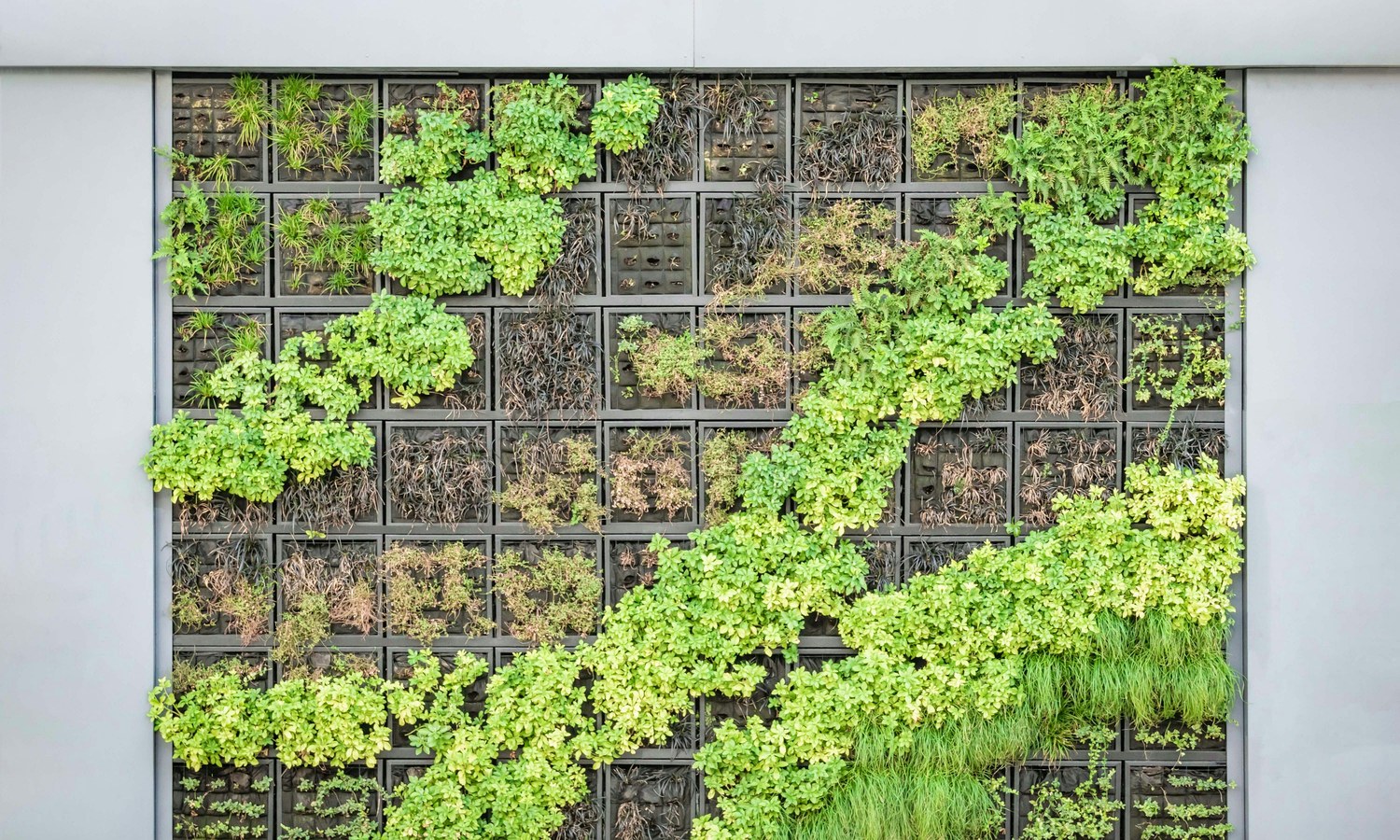 Vertical garden wall