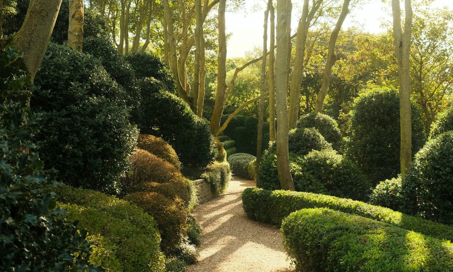 Sunlit landscaped garden pathway