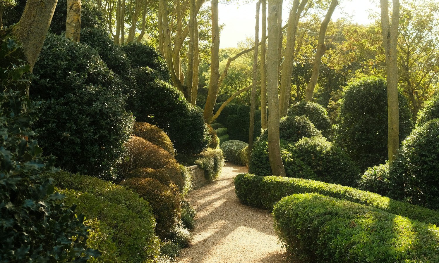 Garden pathway and planting